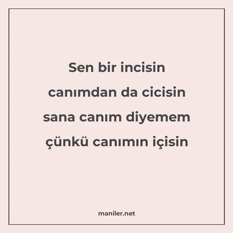 Sen bir incisin canımdan da cicisin sana canım diyemem çünkü manisi görseli