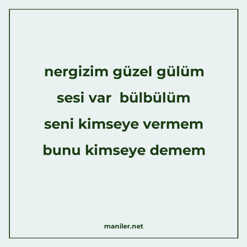 nergizim güzel gülüm sesi var bülbülüm seni kimseye vermem b manisi görseli