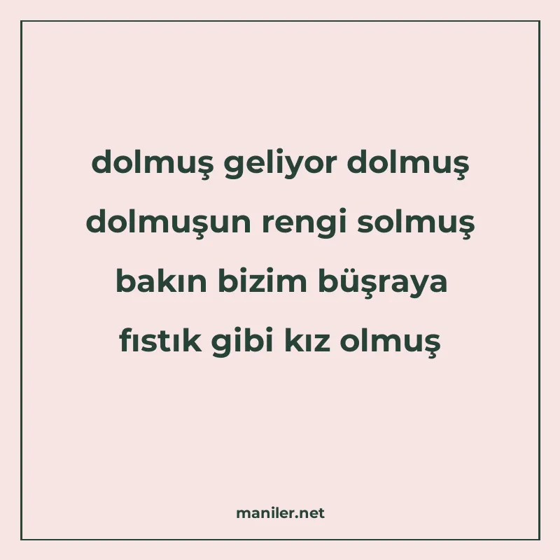 dolmuş geliyor dolmuş dolmuşun rengi solmuş bakın bizim büşr manisi görseli
