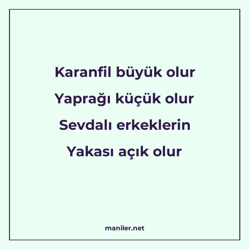 Karanfil büyük olur Yaprağı küçük olur Sevdalı erkeklerin Ya manisi görseli