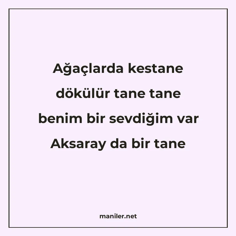 Ağaçlarda kestane dökülür tane tane benim bir sevdiğim var A manisi görseli