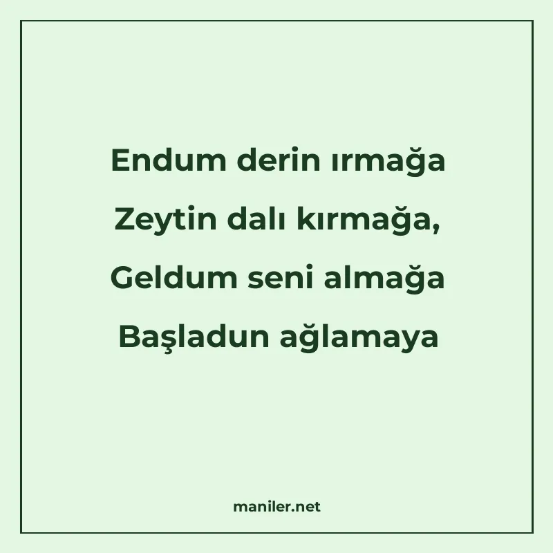 Endum derin ırmağa Zeytin dalı kırmağa, Geldum seni almağa B manisi görseli