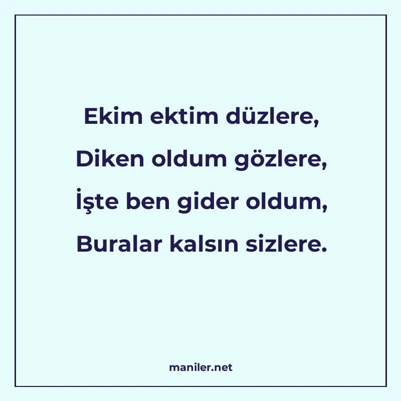 Ekim ektim düzlere, Diken oldum gözlere, İşte ben gider oldu manisi görseli
