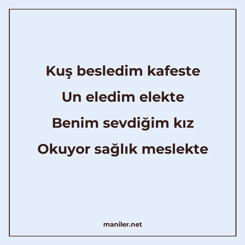 Kuş besledim kafeste Un eledim elekte Benim sevdiğim kız Oku manisi görseli