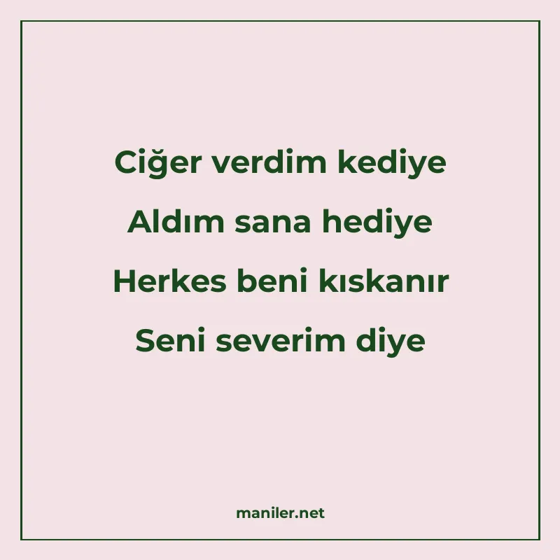 Ciğer verdim kediye Aldım sana hediye Herkes beni kıskanır S manisi görseli