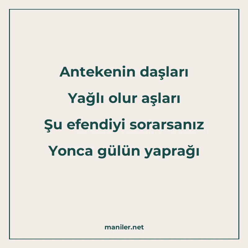 Antekenin daşları Yağlı olur aşları Şu efendiyi sorarsanız Y manisi görseli