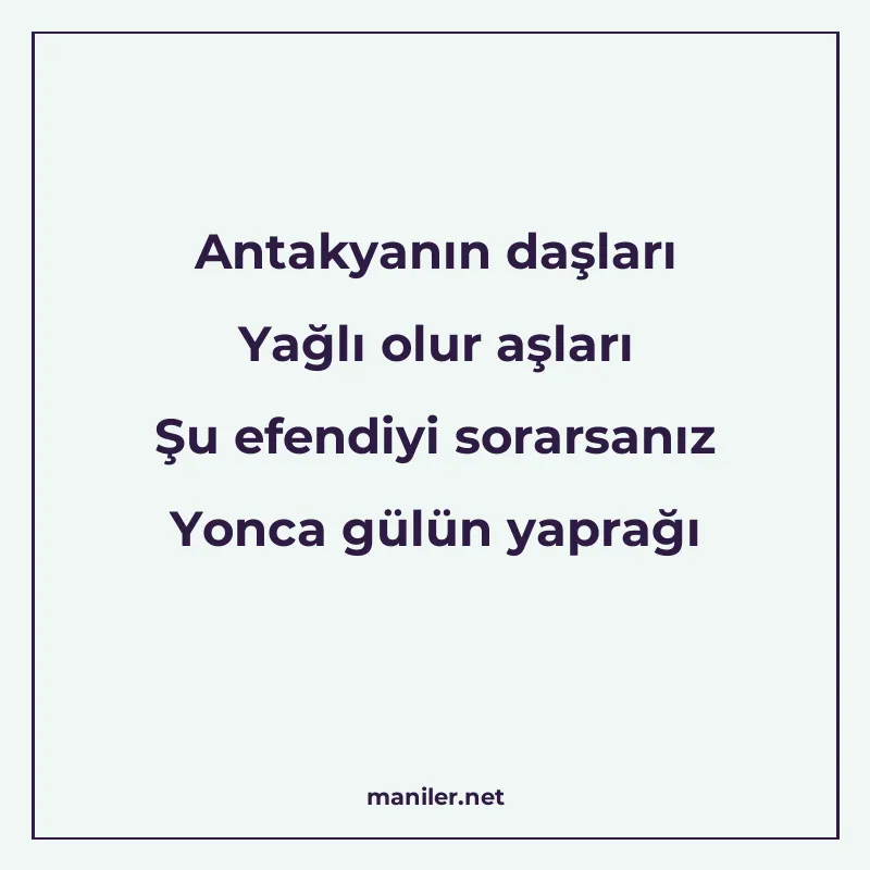 Antakyanın daşları Yağlı olur aşları Şu efendiyi sorarsanız