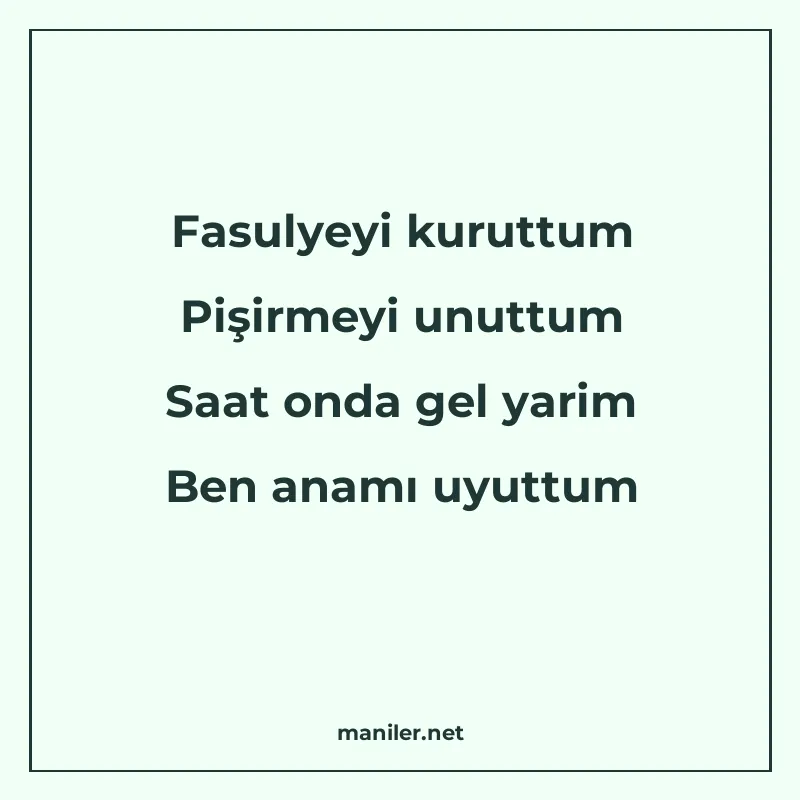 Fasulyeyi kuruttum Pişirmeyi unuttum Saat onda gel yarim Ben manisi görseli