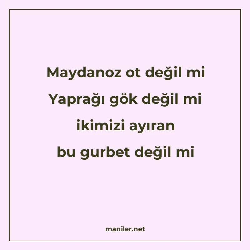 Maydanoz ot değil mi Yaprağı gök değil mi ikimizi ayıran bu manisi görseli