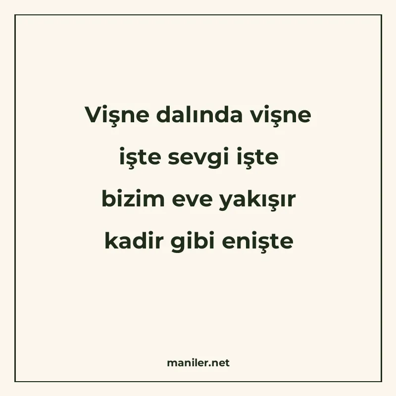 Vişne dalında vişne işte sevgi işte bizim eve yakışır kadir