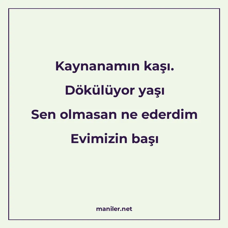 Kaynanamın kaşı. Dökülüyor yaşı Sen olmasan ne ederdim Evimi manisi görseli