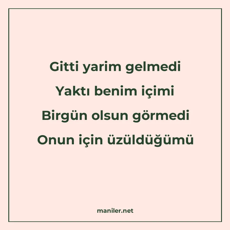 Gitti yarim gelmedi Yaktı benim içimi Birgün olsun görmedi O manisi görseli