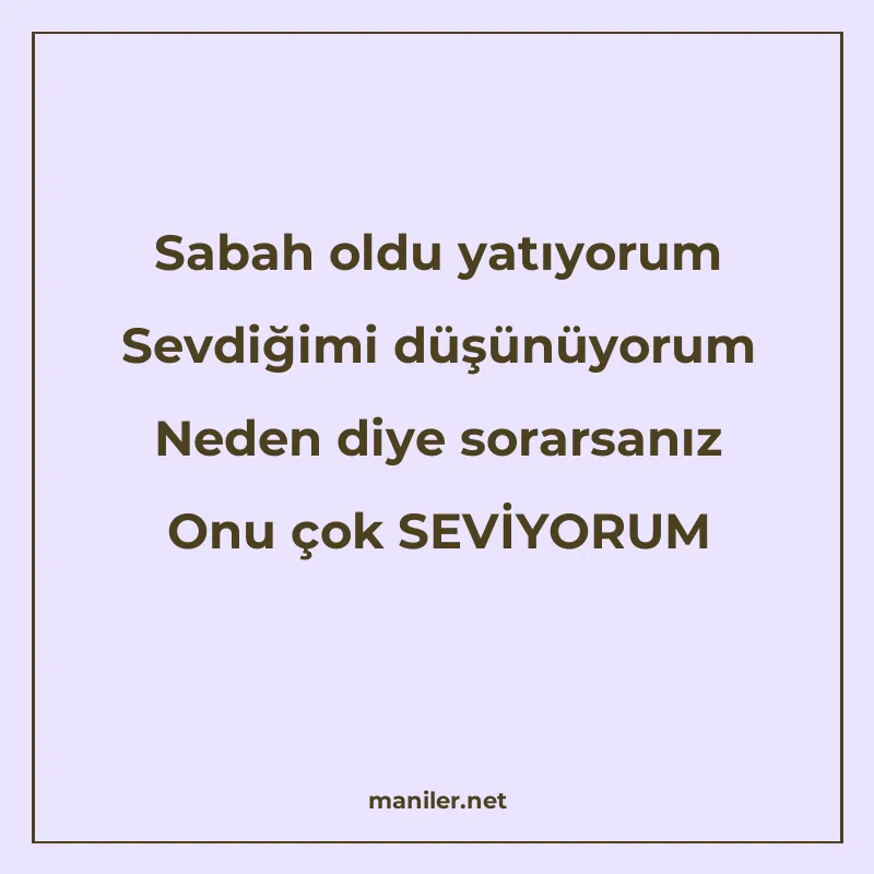 Sabah oldu yatıyorum Sevdiğimi düşünüyorum Neden diye sorars manisi görseli