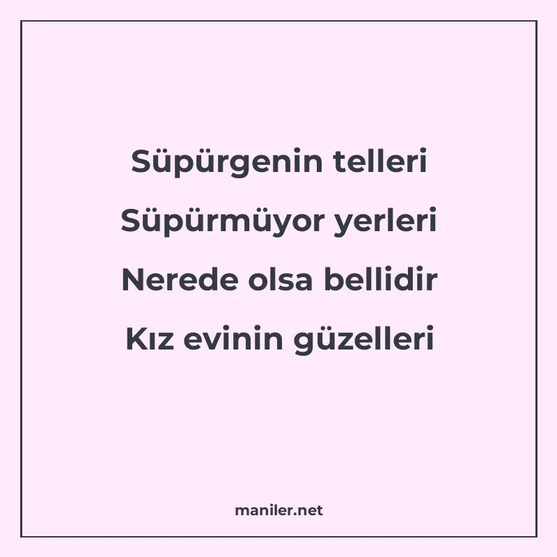 Süpürgenin telleri Süpürmüyor yerleri Nerede olsa bellidir K manisi görseli