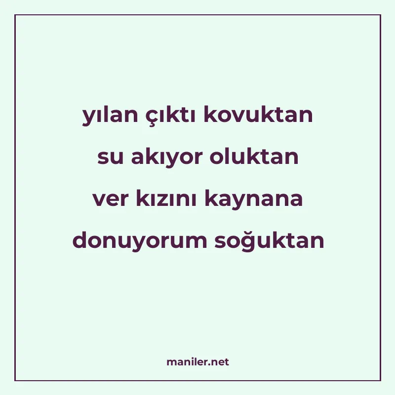 yılan çıktı kovuktan su akıyor oluktan ver kızını kaynana do manisi görseli