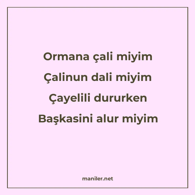 Ormana çali miyim Çalinun dali miyim Çayelili dururken Başka manisi görseli