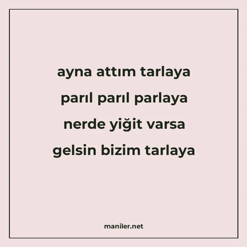 ayna attım tarlaya parıl parıl parlaya nerde yiğit varsa gel manisi görseli