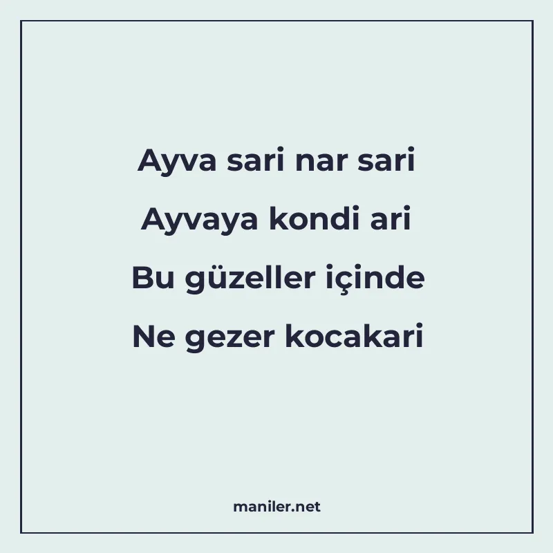 Ayva sari nar sari Ayvaya kondi ari Bu güzeller içinde Ne ge manisi görseli