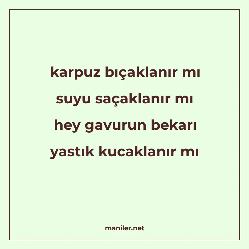 karpuz bıçaklanır mı suyu saçaklanır mı hey gavurun bekarı y manisi görseli