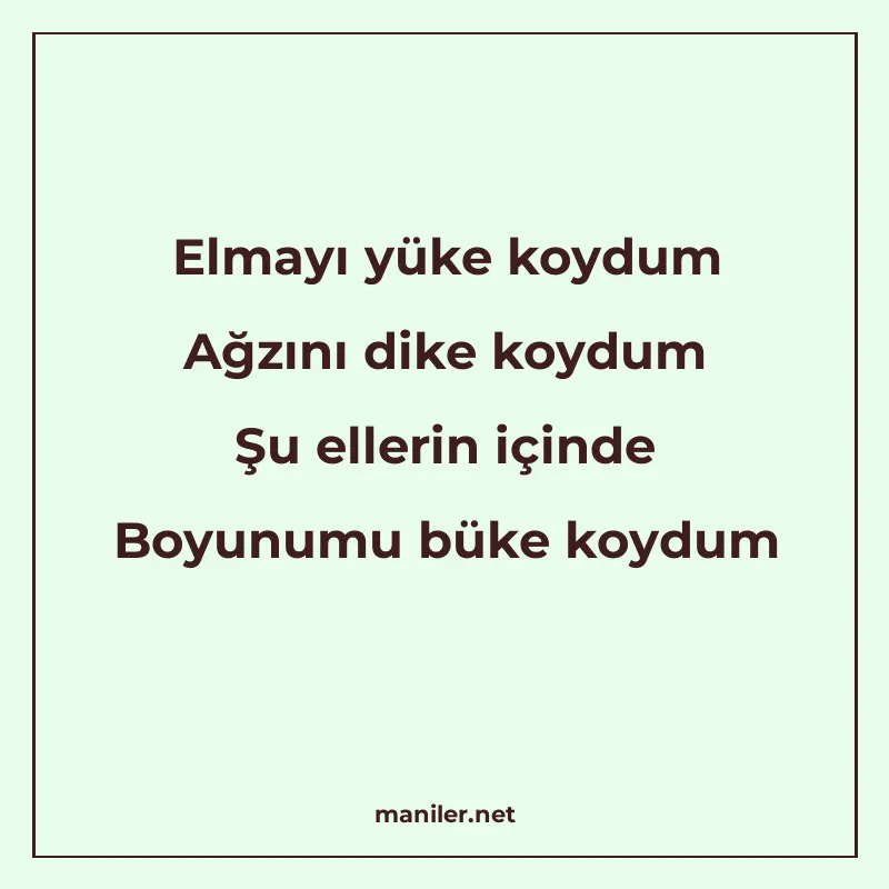 Elmayı yüke koydum Ağzını dike koydum Şu ellerin içinde Boyu manisi görseli