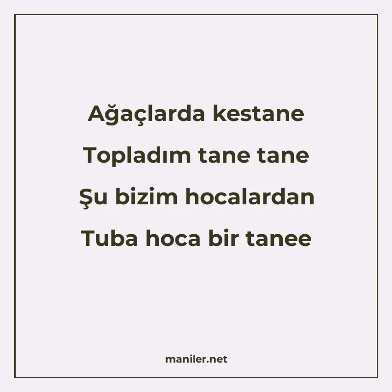 Ağaçlarda kestane Topladım tane tane Şu bizim hocalardan Tub