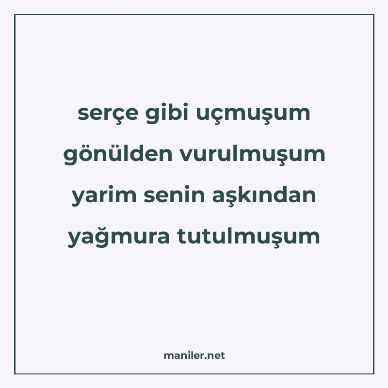 serçe gibi uçmuşum gönülden vurulmuşum yarim senin aşkından manisi görseli