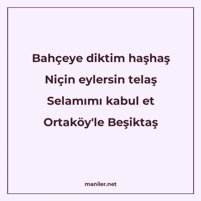 Bahçeye diktim haşhaş Niçin eylersin telaş Selamımı kabul et manisi görseli