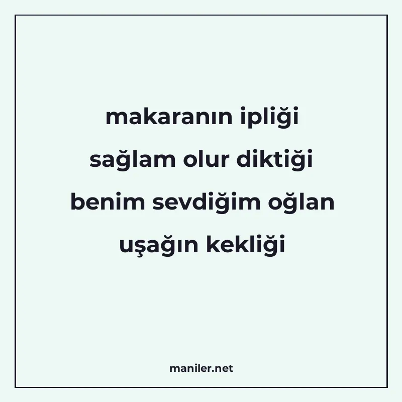 makaranın ipliği sağlam olur diktiği benim sevdiğim oğlan uş manisi görseli