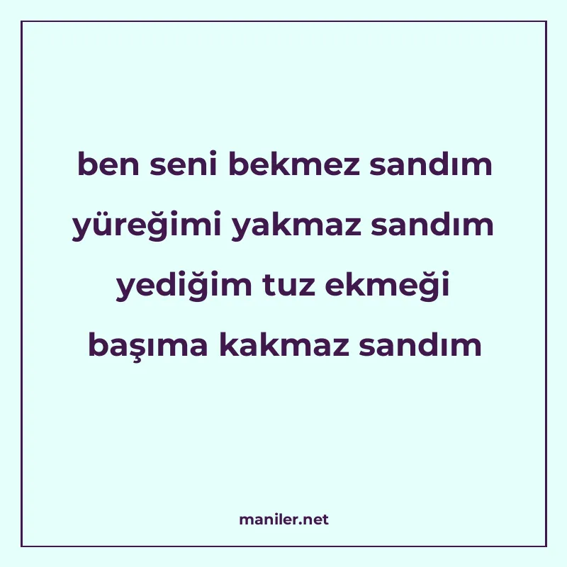 ben seni bekmez sandım yüreğimi yakmaz sandım yediğim tuz ek manisi görseli