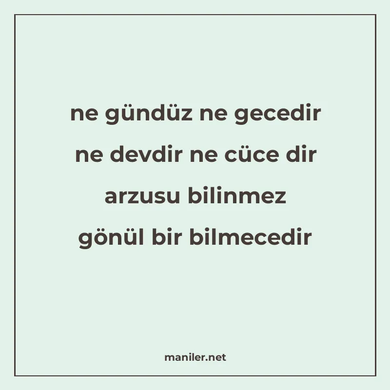 ne gündüz ne gecedir ne devdir ne cüce dir arzusu bilinmez g manisi görseli