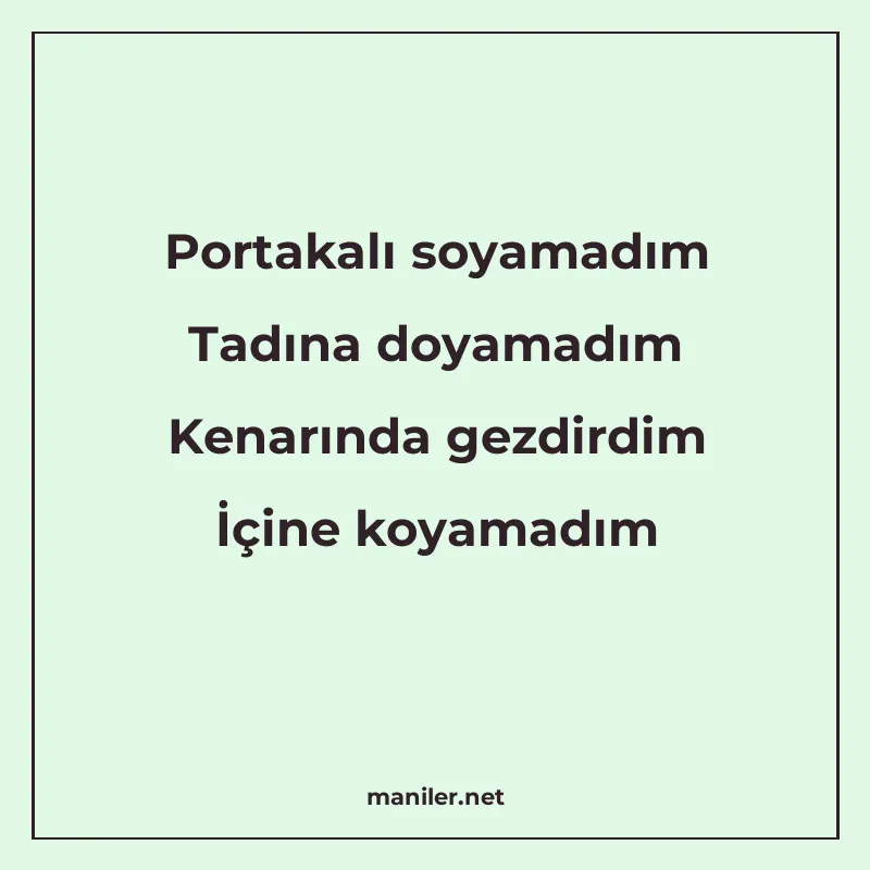 Portakalı soyamadım Tadına doyamadım Kenarında gezdirdim İçi manisi görseli