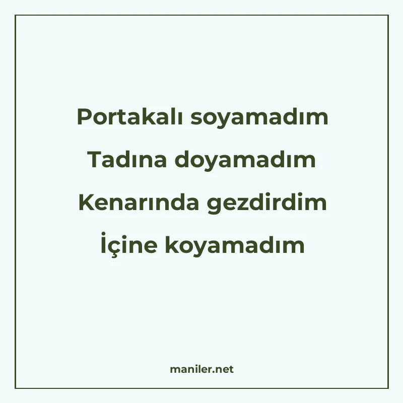 Portakalı soyamadım Tadına doyamadım Kenarında gezdirdim İçi manisi görseli