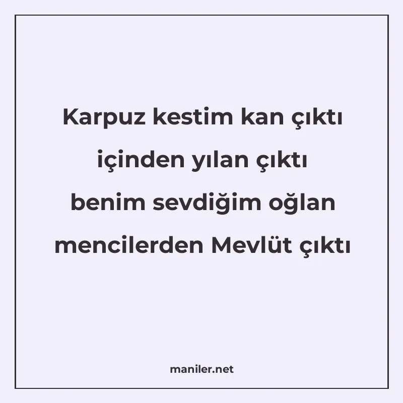 Karpuz kestim kan çıktı içinden yılan çıktı benim sevdiğim o manisi görseli