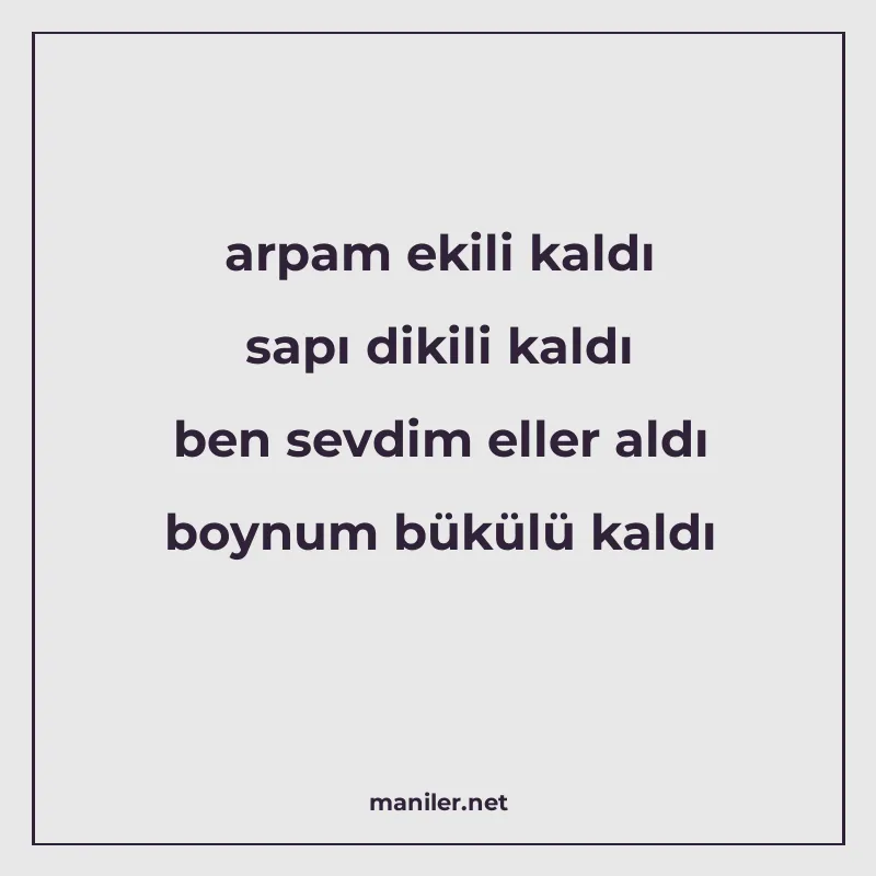 arpam ekili kaldı sapı dikili kaldı ben sevdim eller aldı bo manisi görseli