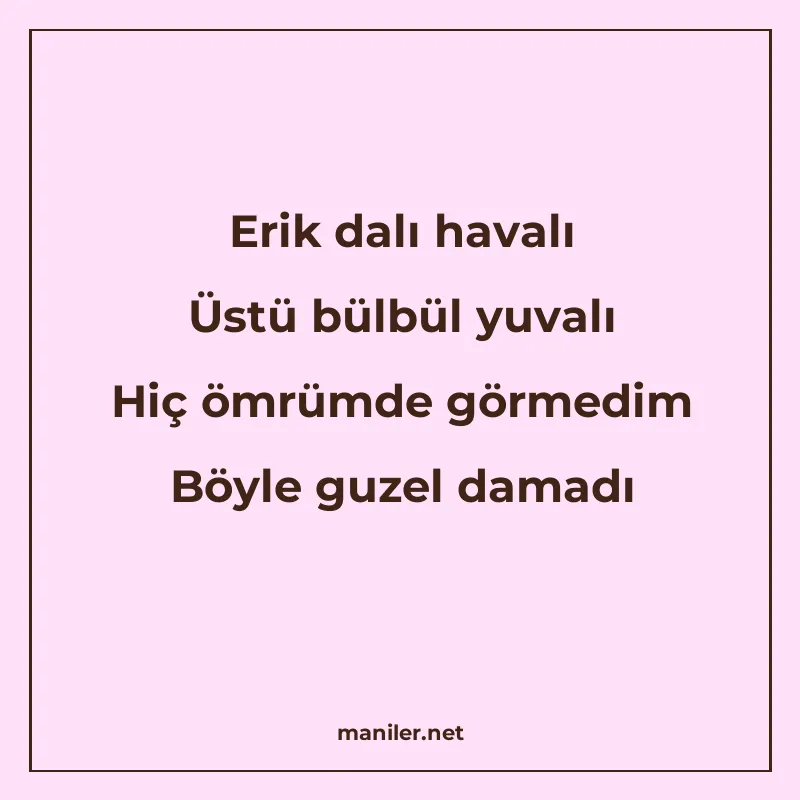 Erik dalı havalı Üstü bülbül yuvalı Hiç ömrümde görmedim Böy
