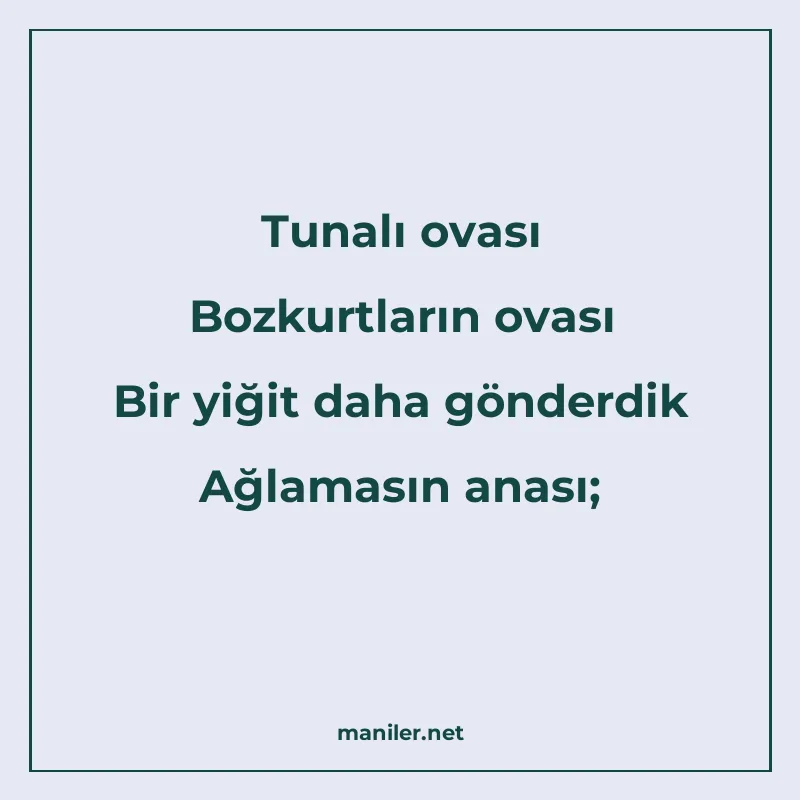 Tunalı ovası Bozkurtların ovası Bir yiğit daha gönderdik Ağl