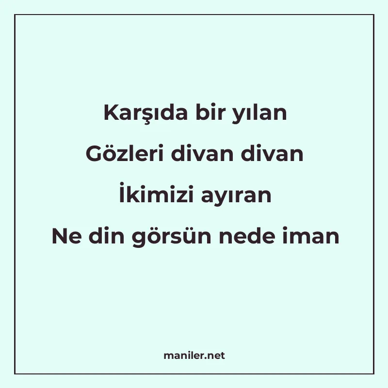 Karşıda bir yılan Gözleri divan divan İkimizi ayıran Ne din manisi görseli