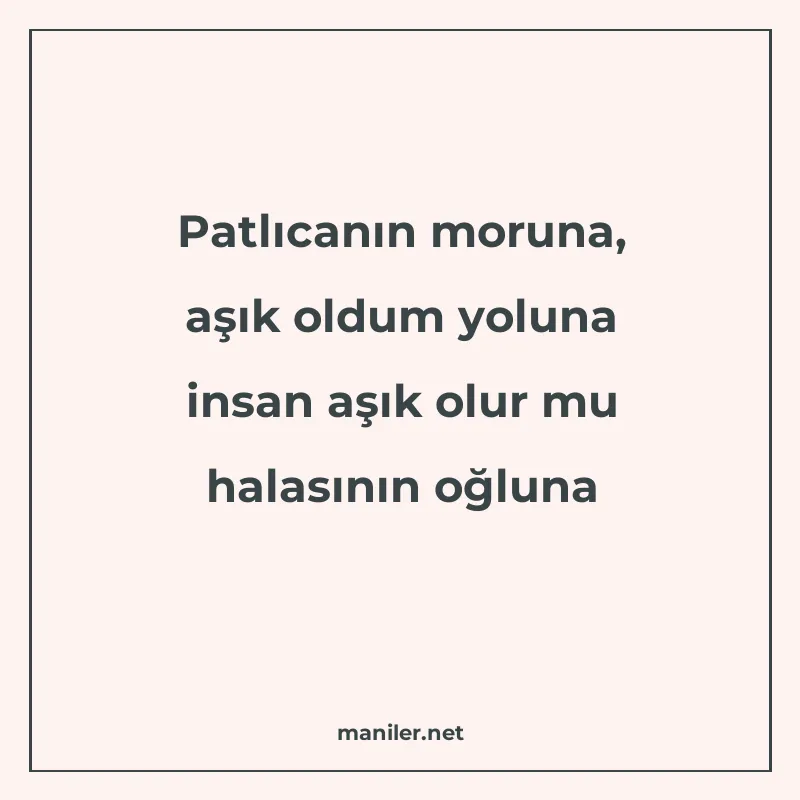 Patlıcanın moruna, aşık oldum yoluna insan aşık olur mu hala manisi görseli