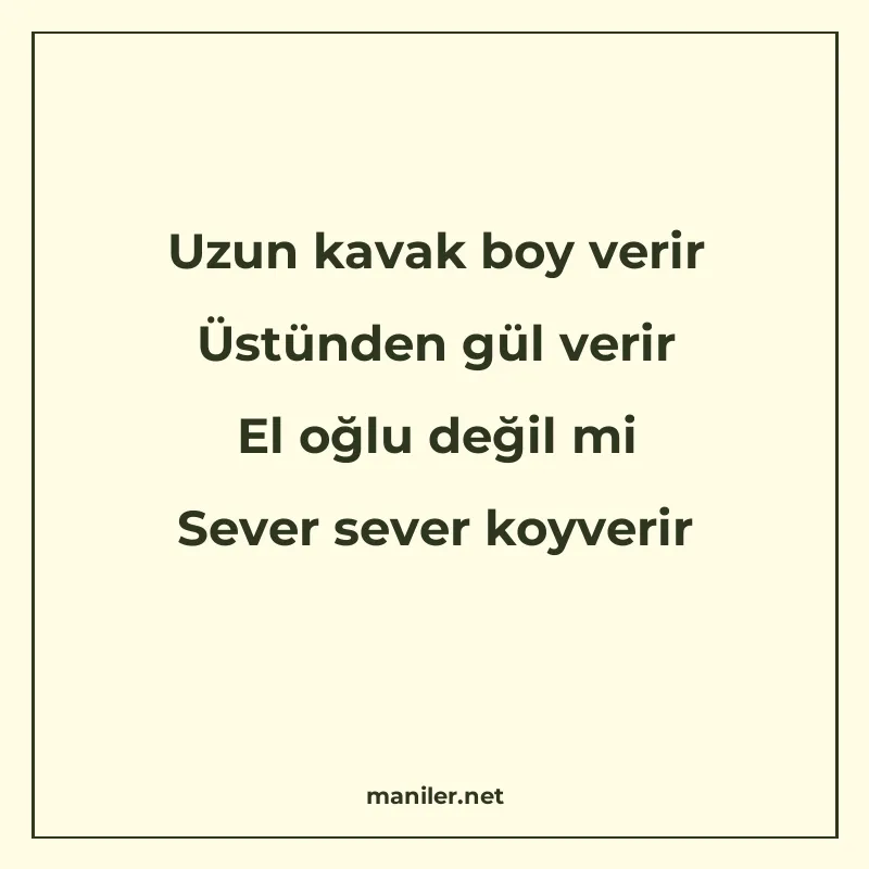 Uzun kavak boy verir Üstünden gül verir El oğlu değil mi Sev