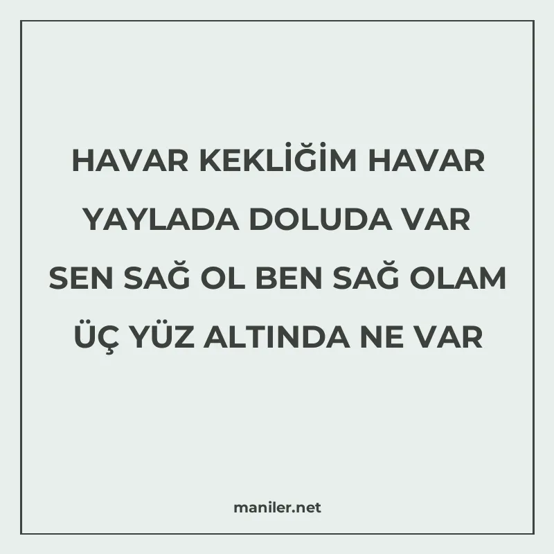 HAVAR KEKLİĞİM HAVAR YAYLADA DOLUDA VAR SEN SAĞ OL BEN SAĞ O manisi görseli