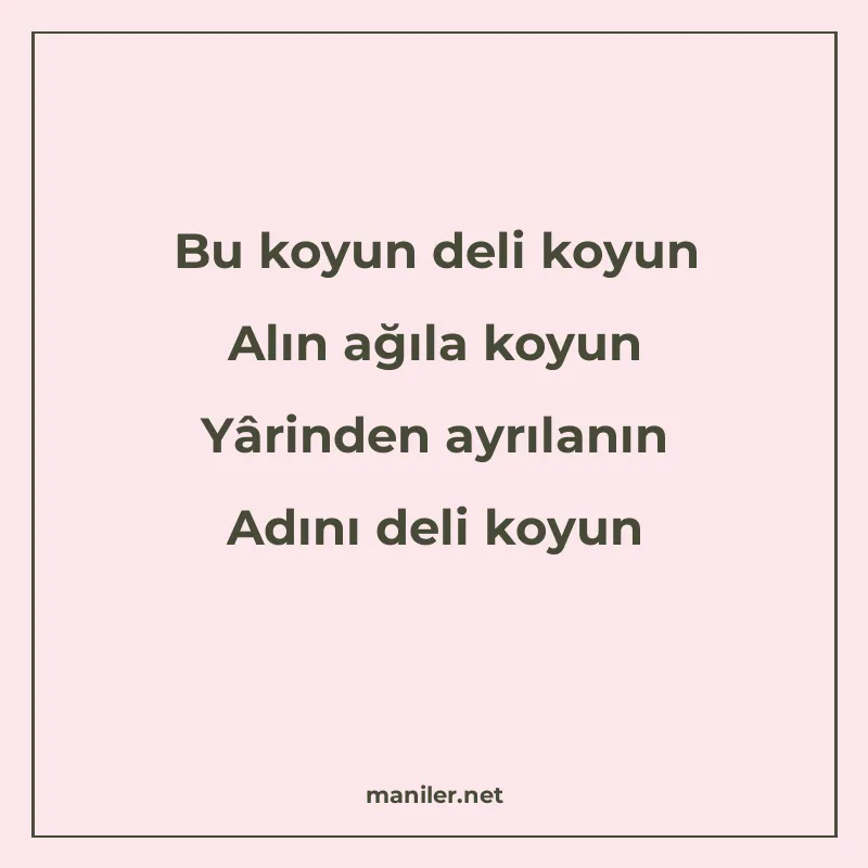 Bu koyun deli koyun Alın ağıla koyun Yârinden ayrılanın Adın manisi görseli
