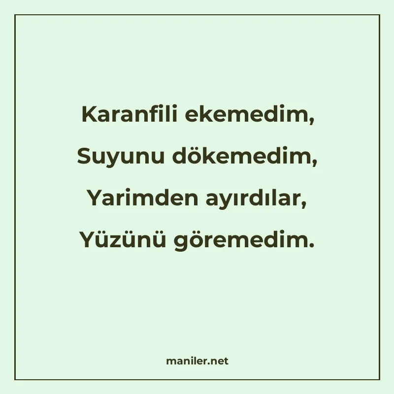 Karanfili ekemedim, Suyunu dökemedim, Yarimden ayırdılar, Yü manisi görseli