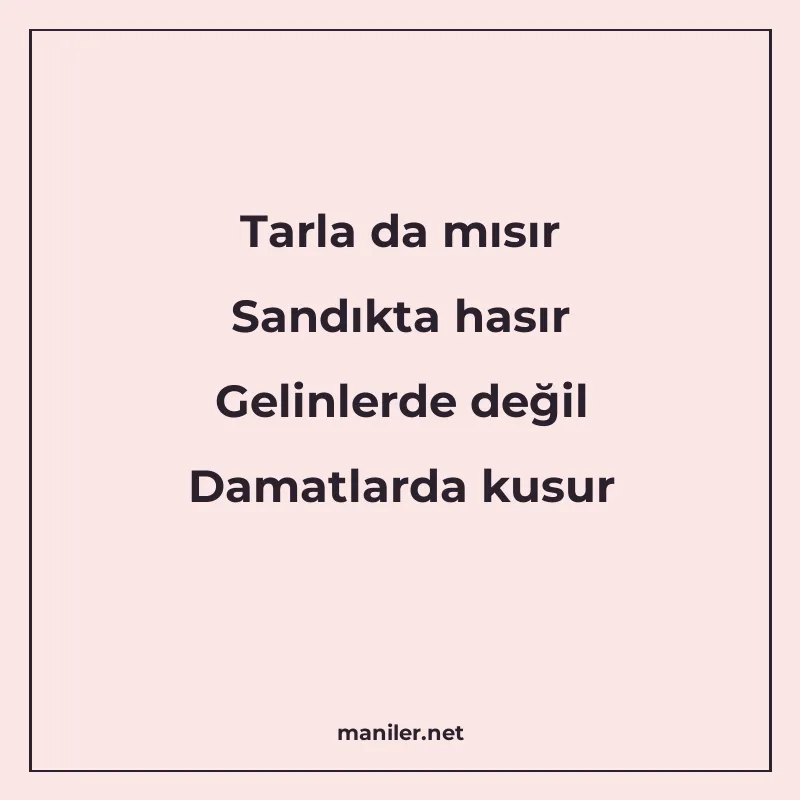 Tarla da mısır Sandıkta hasır Gelinlerde değil Damatlarda ku