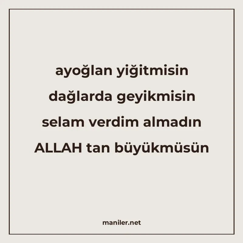ayoğlan yiğitmisin dağlarda geyikmisin selam verdim almadın manisi görseli