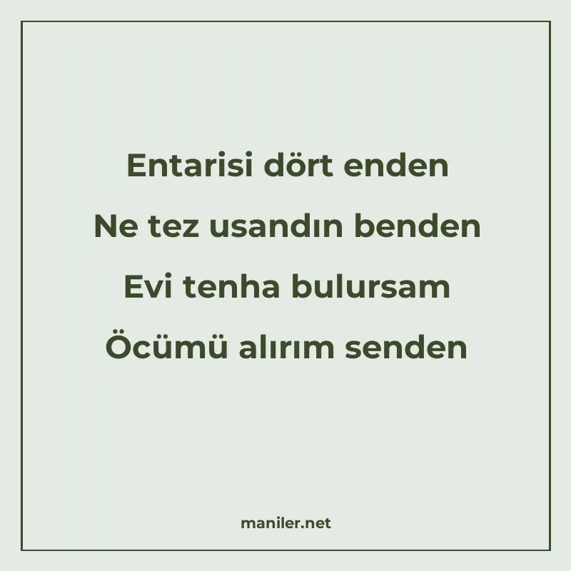 Entarisi dört enden Ne tez usandın benden Evi tenha bulursam manisi görseli