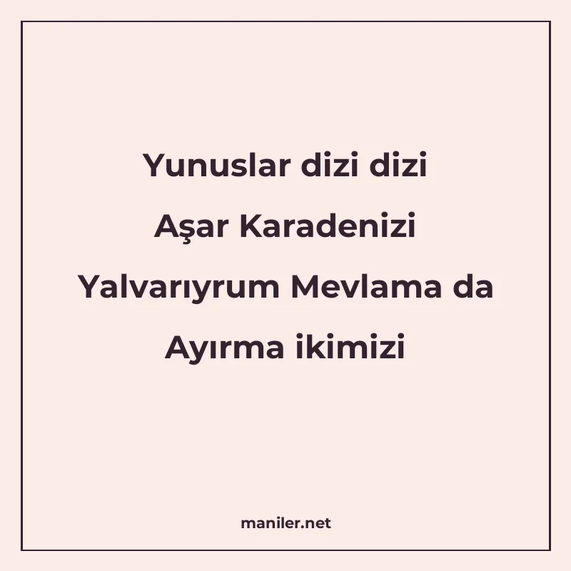 Yunuslar dizi dizi Aşar Karadenizi Yalvarıyrum Mevlama da Ay manisi görseli