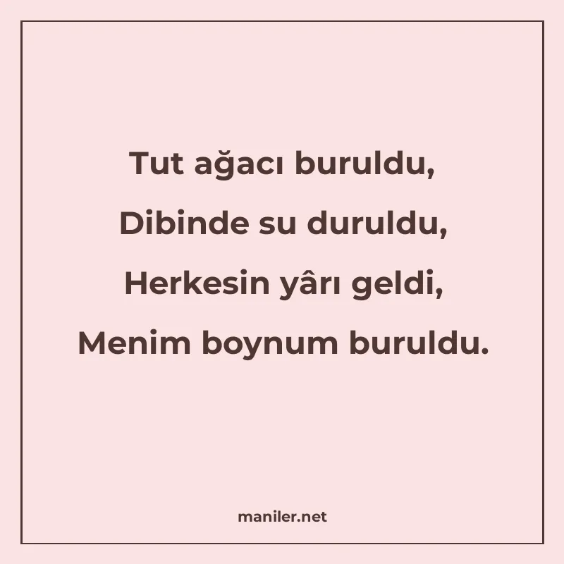 Tut ağacı buruldu, Dibinde su duruldu, Herkesin yârı geldi manisi görseli