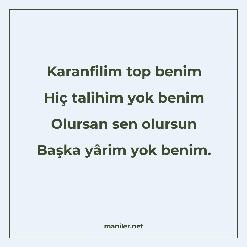 Karanfilim top benim Hiç talihim yok benim Olursan sen olurs manisi görseli