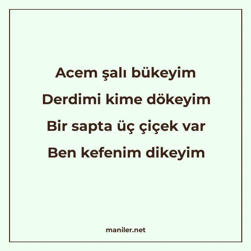 Acem şalı bükeyim Derdimi kime dökeyim Bir sapta üç çiçek va manisi görseli