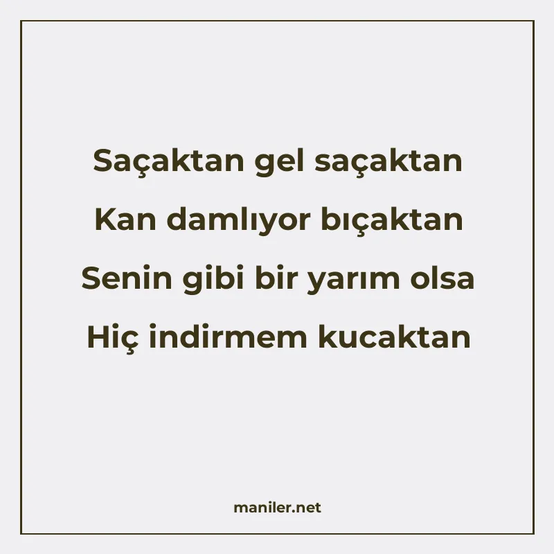 Saçaktan gel saçaktan Kan damlıyor bıçaktan Senin gibi bir y manisi görseli